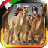 icon Camel Racing 1.6
