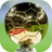 icon Street Football 22 1.0.1