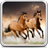 icon Horses Live Wallpaper 17.0