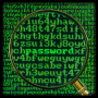 icon Secret_Password для Samsung Galaxy Young 2