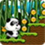 icon Jungle Panda Run