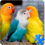 icon Birds Jigsaw Puzzle + LWP