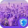 icon Lavender