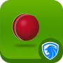 icon AppLock Theme - Cricket для Fly Stratus 8