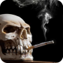 icon Smoking Skull Live Wallpaper для Samsung Galaxy Young S6310