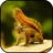 icon Squirrel Wallpapers 3.0