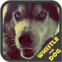 icon Dog Whistle Trainer