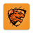 icon TigerVPN 1.0