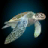 icon Sea Turtle Simulator 1.0