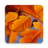 icon Autumn Live Wallpaper 1.0.5