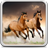 icon Horses Live Wallpaper 14.0