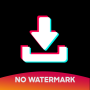 icon Video Downloader for TikTok - No Watermark