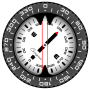 icon Compass PRO для Huawei P20