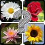 icon Guess The Flowers: Quiz