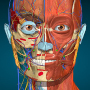 icon Anatomy Learning - 3D Anatomy для Samsung Galaxy mini 2 S6500