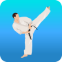 icon Karate Workout At Home для neffos C5 Max