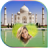 icon TajMahal Frames 1.9