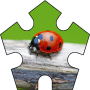 icon Puzzle Bugs