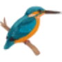 icon Kingfisher Tel