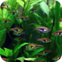 icon Aquarium 3D Live Wallpapers для Meizu M6