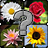 icon Guess The Flowers 1.1