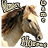 icon Memory Horses 1.1
