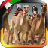 icon UAE Camel Racing 1.5