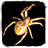 icon Spider 1.0