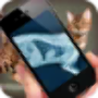 icon Simulation XRay Cat для Huawei P20
