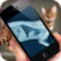 icon Simulation XRay Cat для Sony Xperia XA1 Ultra