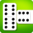icon Domino 1.73.0