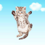 icon Kitten Clicker