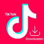 icon TikTok Downloader