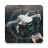 icon GoFlyD.J.IDrone 10.0