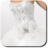 icon Bridal Dresses 4.0,1