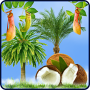 icon Tropic HD