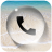 icon Phone 8.4