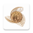 icon CBE Mobile Banking 5.1.0