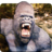 icon Gorilla Hunter 1.2