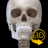 icon Skeleton 3D Anatomy 6.7.5