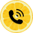 icon Lemon 1.0