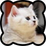 icon Puzzle Cats 