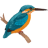 icon Kingfisher Tel 3.6.2