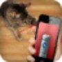 icon Laser For Cats New Prank
