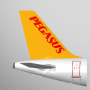 icon Pegasus: Cheap Flight Tickets для videocon Krypton2 V50GI