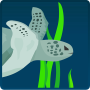 icon DeepTurtle