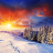 icon Winter Wonderland FREE 1.7.5