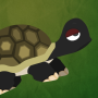 icon Grumpy Turtle для ZTE Nubia Z17