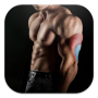 icon Bodybuilding & Fitness Workout