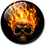 icon Skulls Live Wallpaper для Samsung Droid Charge I510